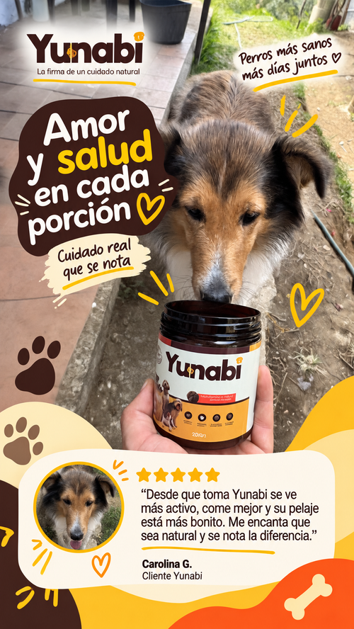 Testimonio Yunabi