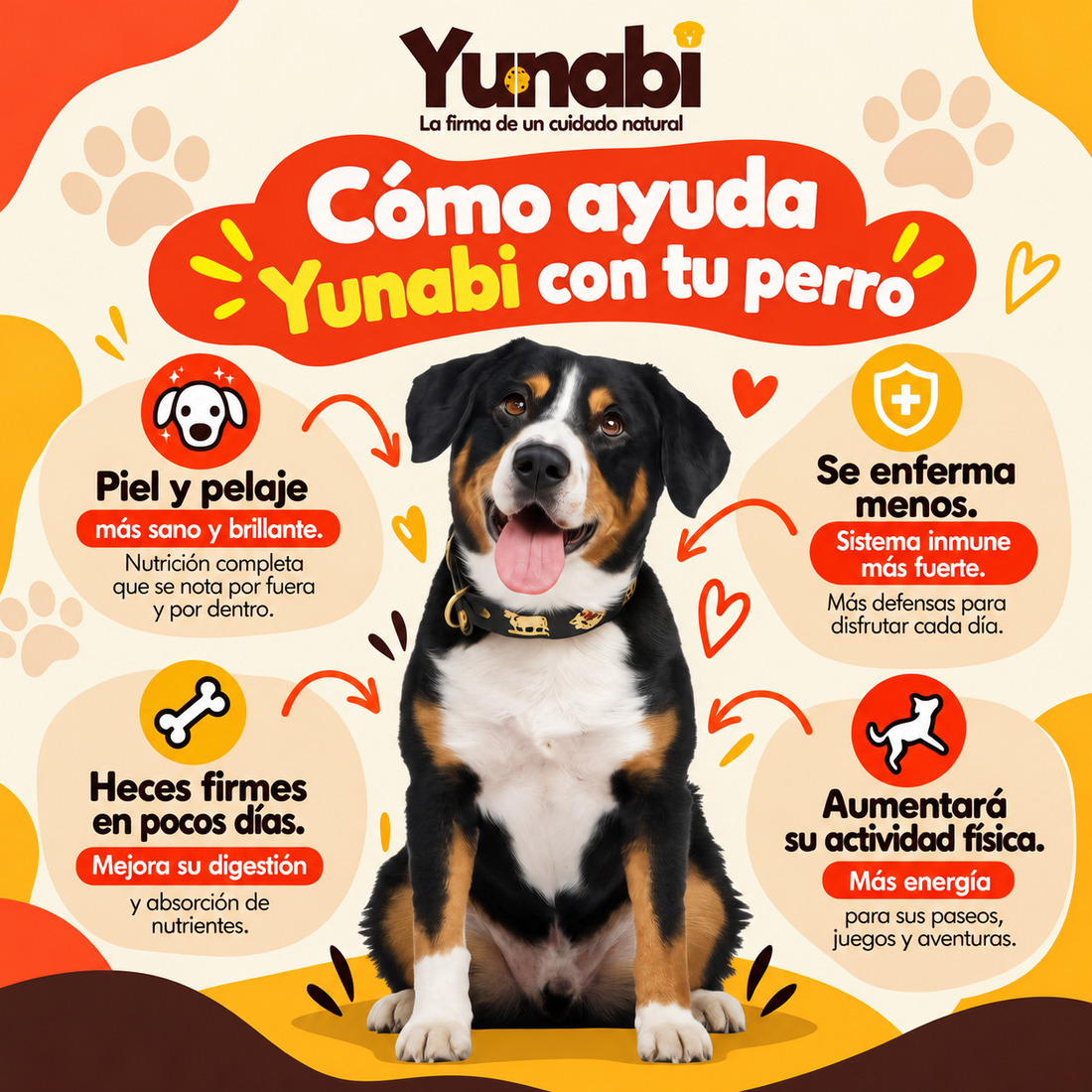 Yunabi, Galleta Multivitaminica