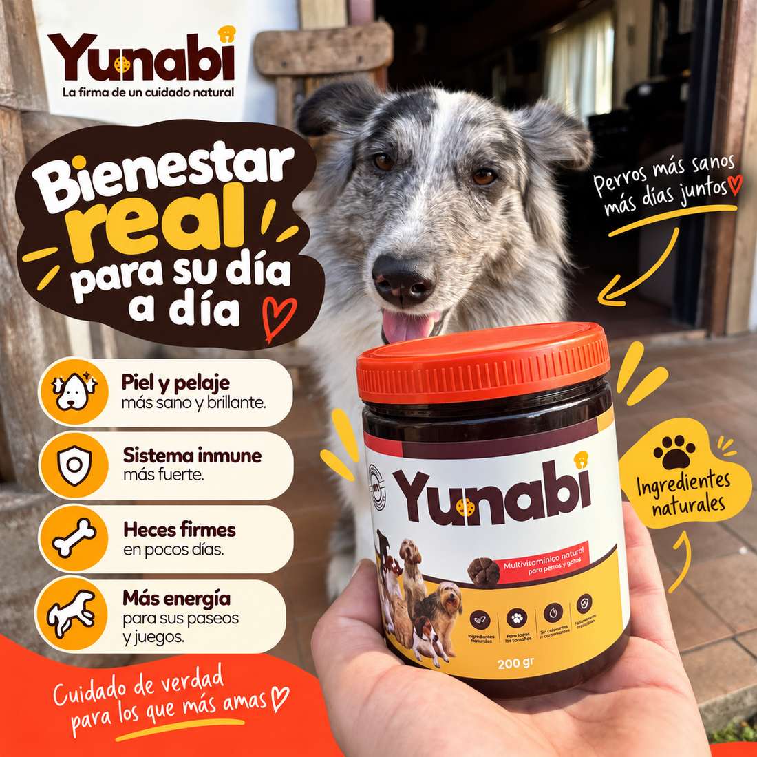 Yunabi, Galleta Multivitaminica