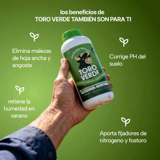 toro verde