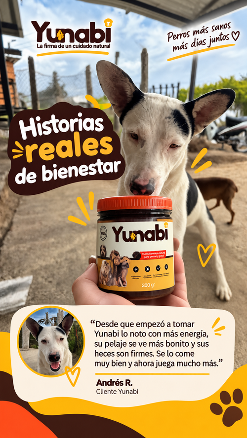 Testimonio Yunabi