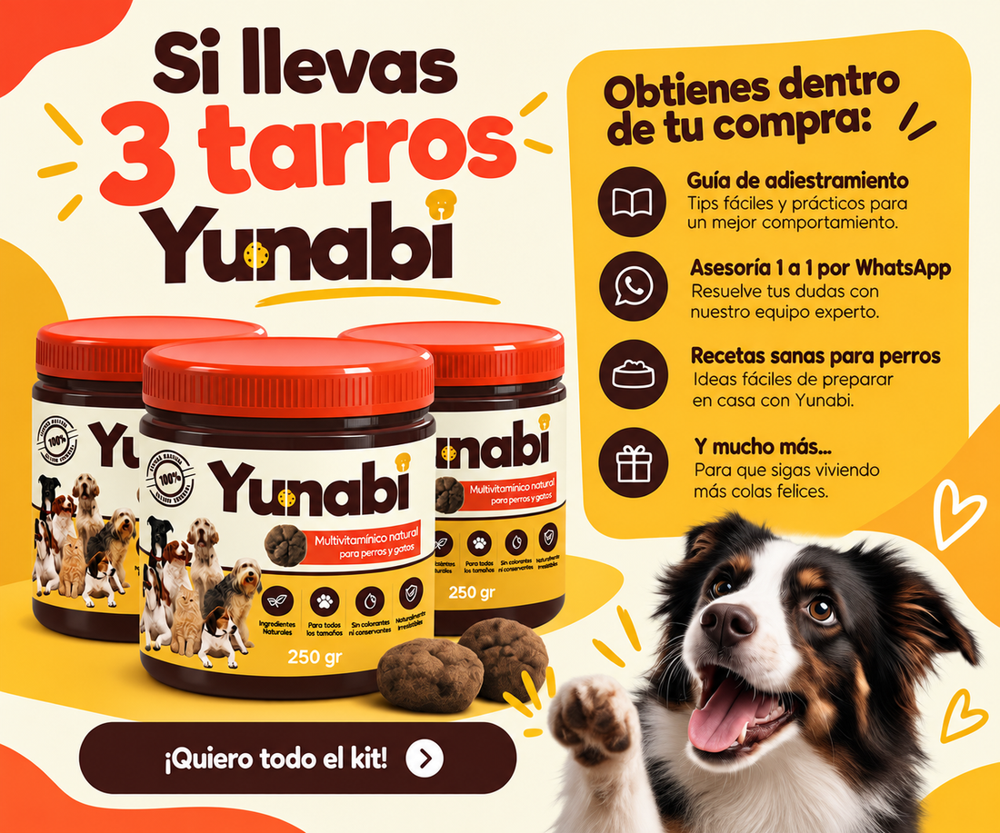 Yunabi, Galleta Multivitaminica