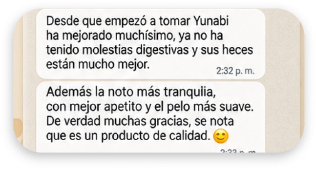 Opinión de cliente Yunabi